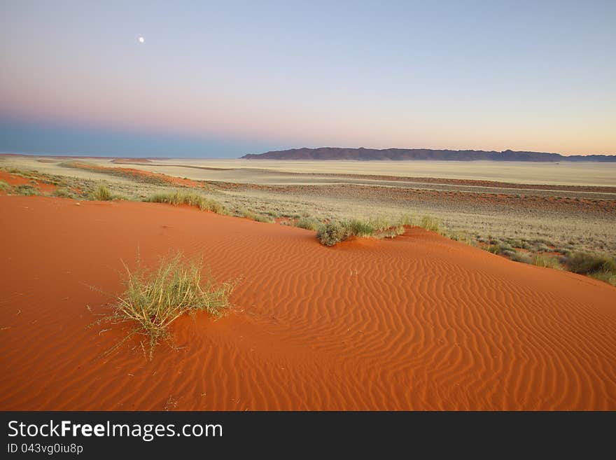 Early morning before sunrise - Moonlit Red Sand Dune