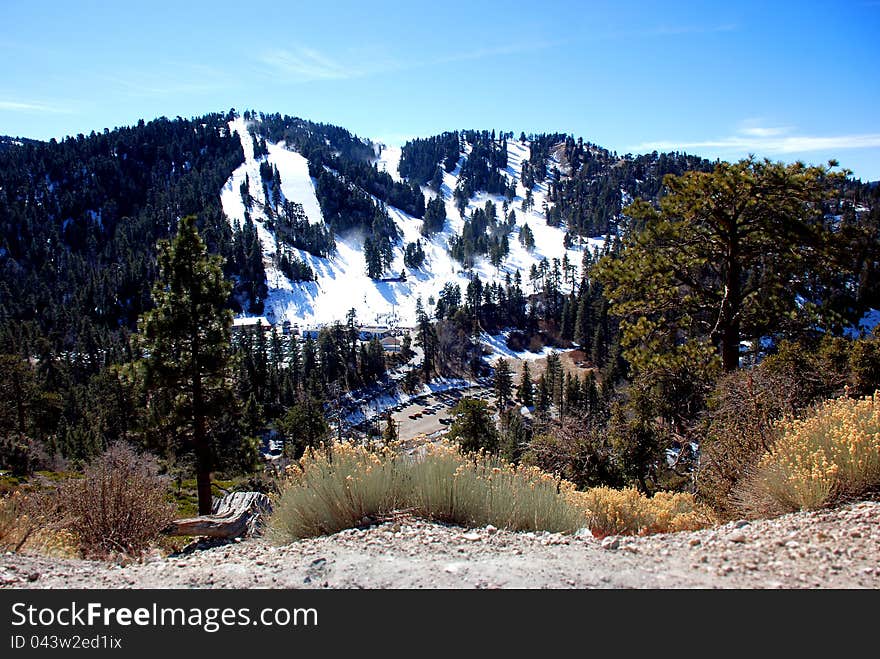 Mountains in California. View looking over the ski slope. Wild brush and trees in foreground. Mountains in California. View looking over the ski slope. Wild brush and trees in foreground.