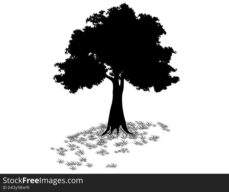 Tree Silhouetted