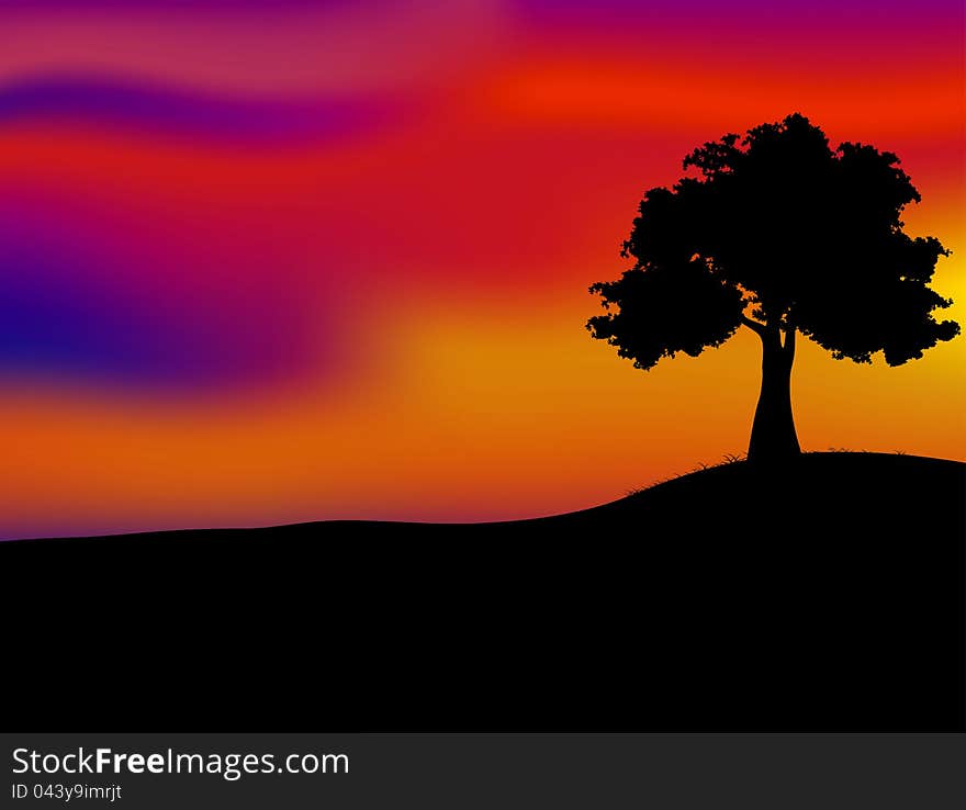 Tree silhouetted and sunset