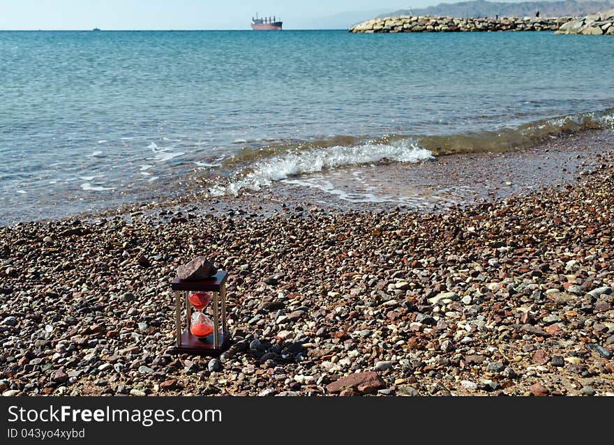 Woody hourglass on marine beach