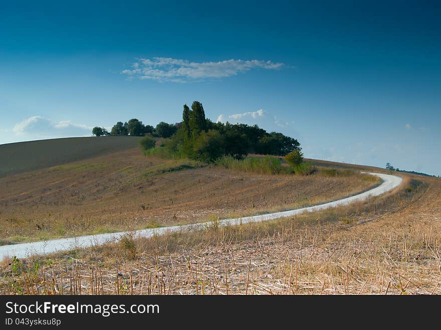 Panoramic sunset landscape road in Italy and tree