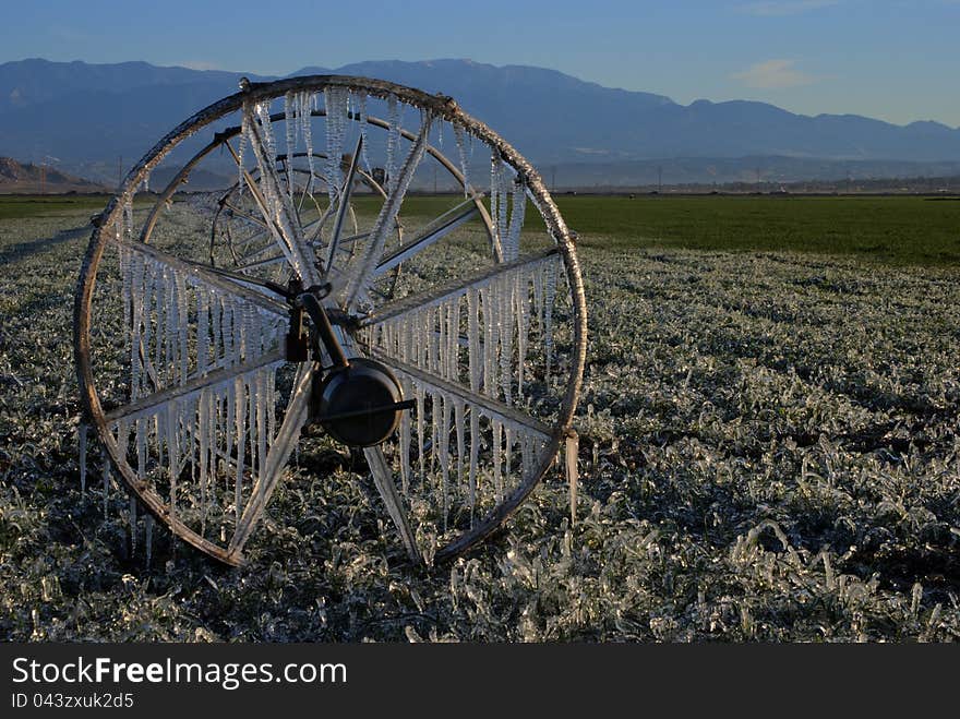 Ice Covered Field Sprinklers In California. Ice Covered Field Sprinklers In California