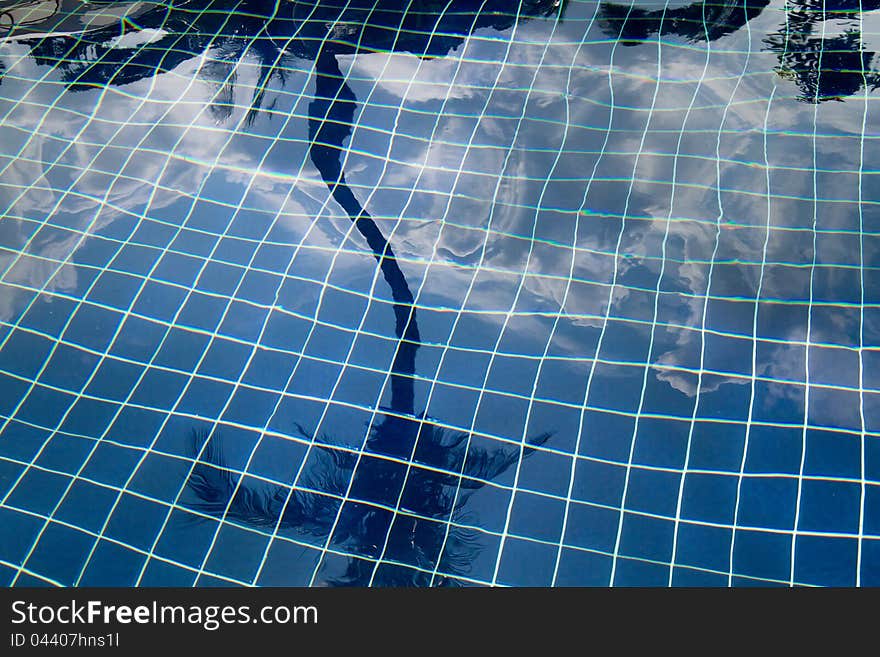 Swimming pool and reflection of palm tree. Swimming pool and reflection of palm tree