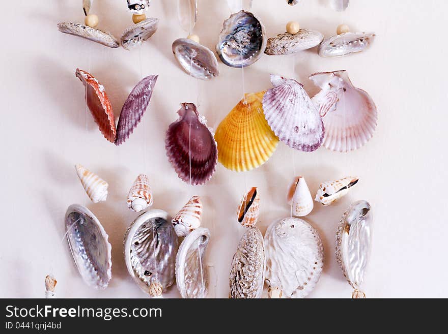 Seashell dream catcher