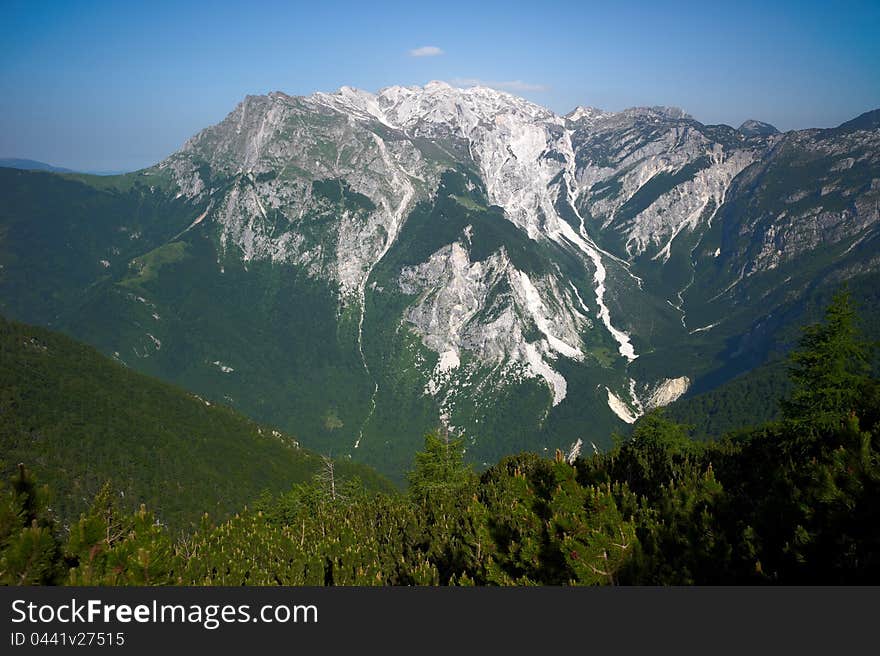 Alpine landscape with green grass in the foreground, valley view, mountain peaks. Location: Slovenia Alps.