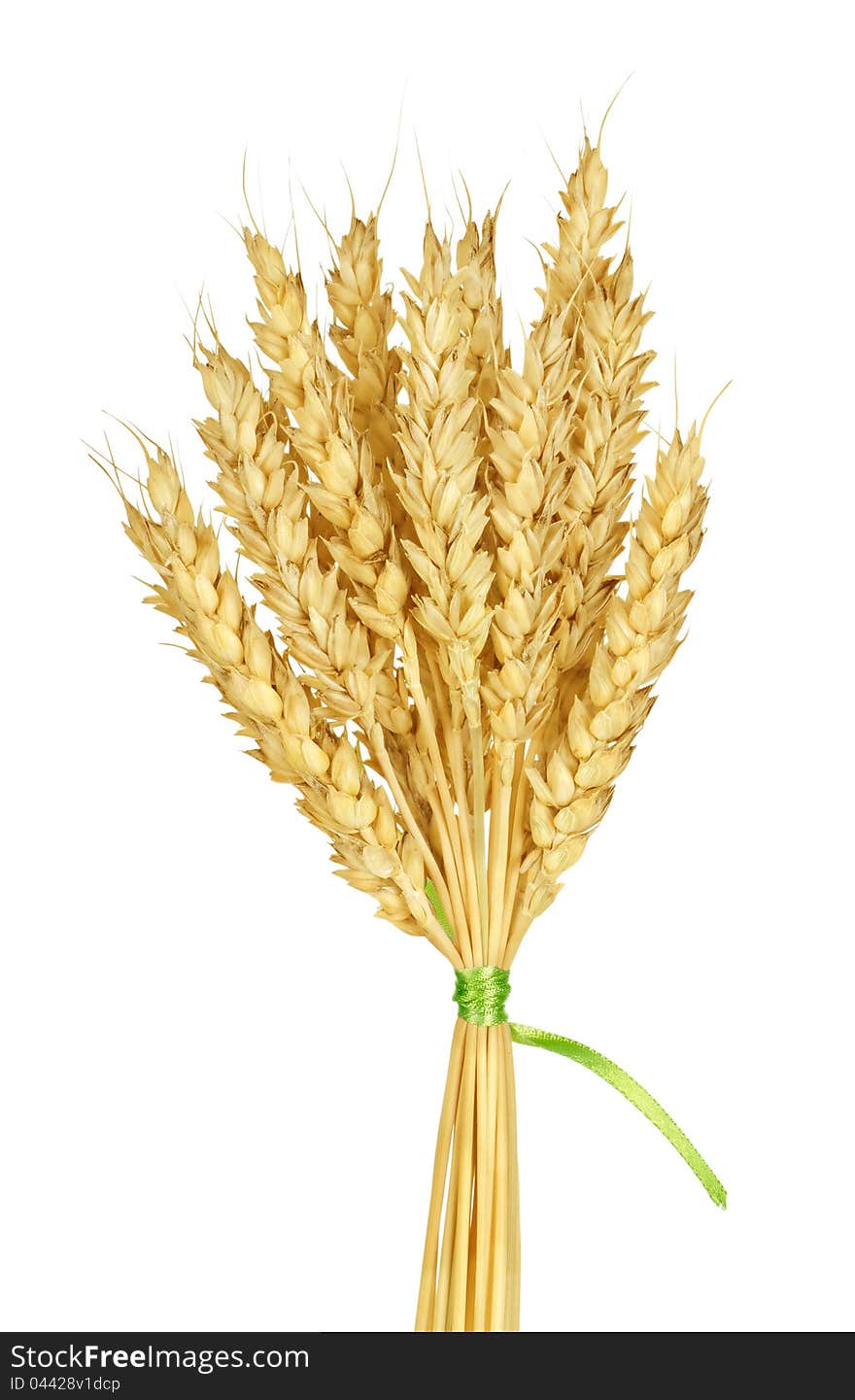 Wheat stems