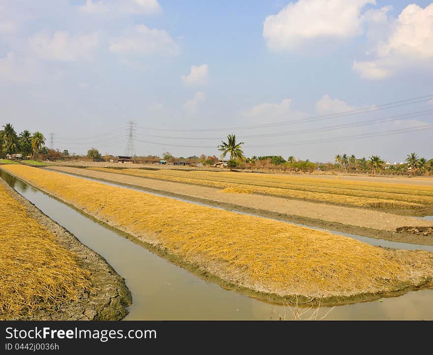 Soil preparation land