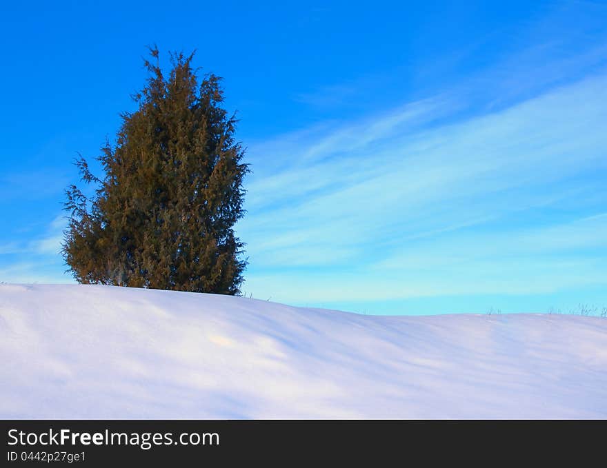 Lonely tree in snow on blue sky background