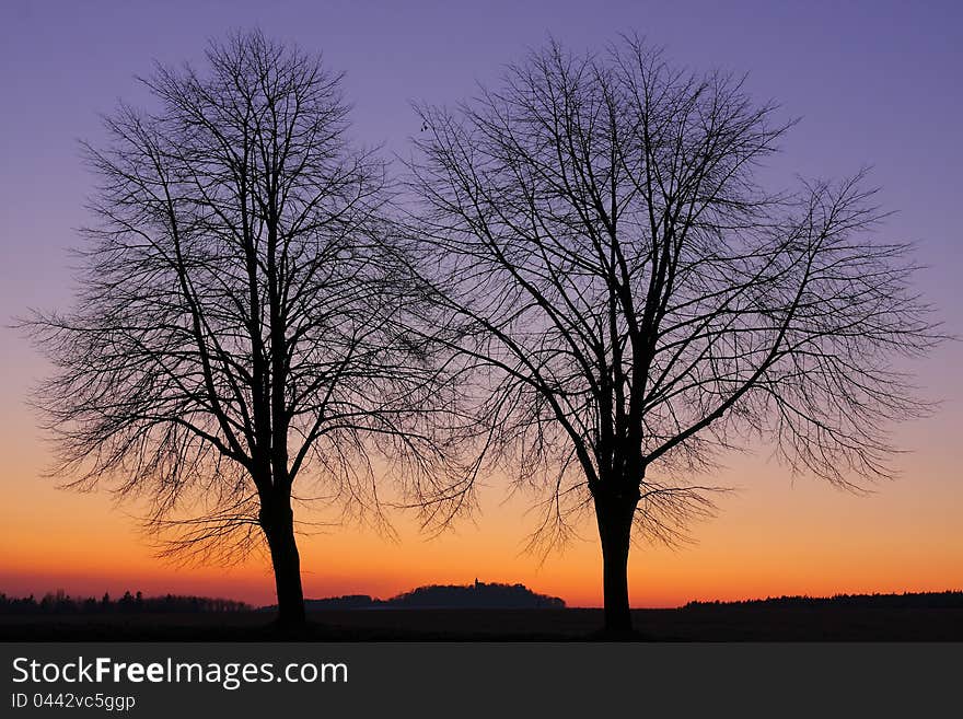 Two silhouettes of trees with colorful sky after sunset. Two silhouettes of trees with colorful sky after sunset