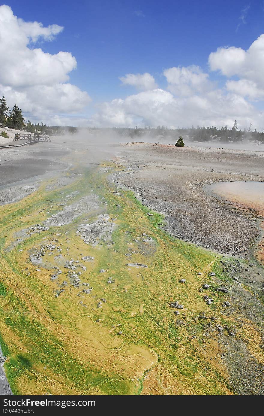 Sulfur hot springs full of color in Yellowstone National Park. Sulfur hot springs full of color in Yellowstone National Park