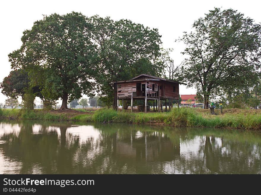 Abandoned house and a tree in the nearby waters. Abandoned house and a tree in the nearby waters.