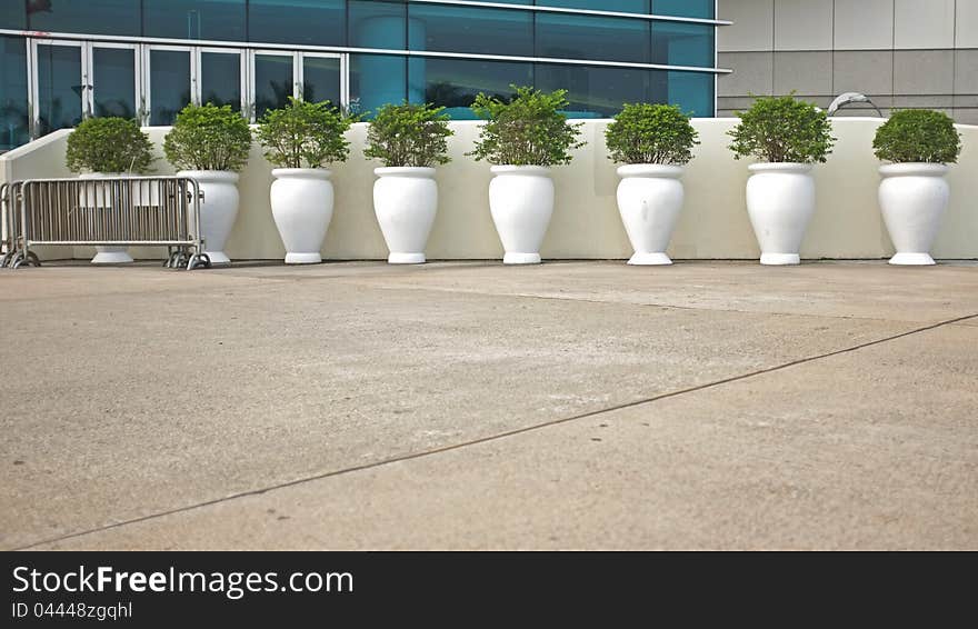 Pots of greenery found in modern city area. Pots of greenery found in modern city area