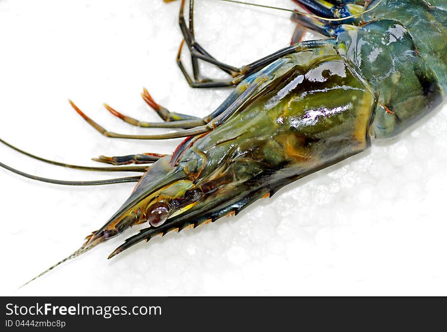 The head of a tiger prawn.