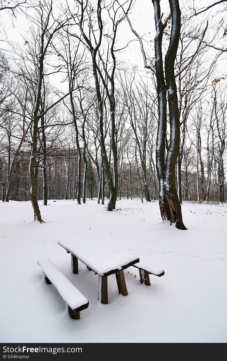 Wooden bench in park covered with snow. Wooden bench in park covered with snow