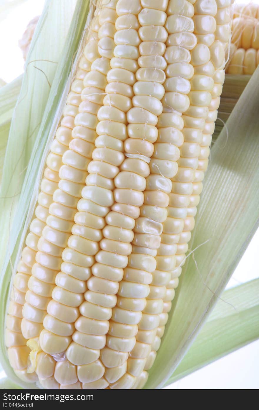 E corn, mature, corn of white background, grain.