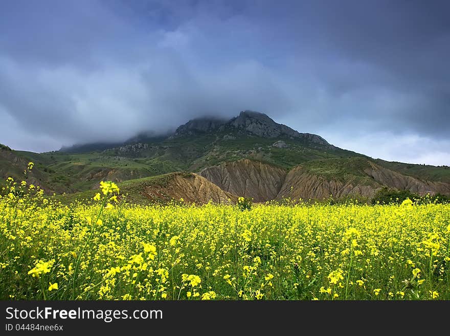 Summer landscape with a gloomy sky, mountain and colza. Summer landscape with a gloomy sky, mountain and colza