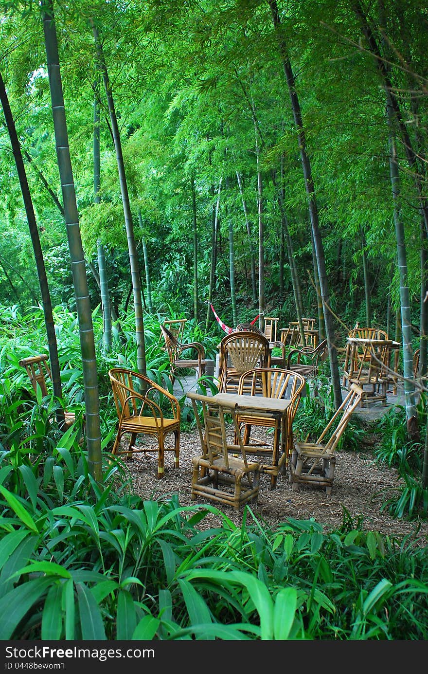 Depth of Bamboo Grove in the Sichuan of China.