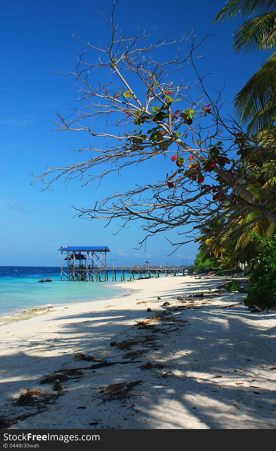 The beautiful beaches under the sun in Malaysia