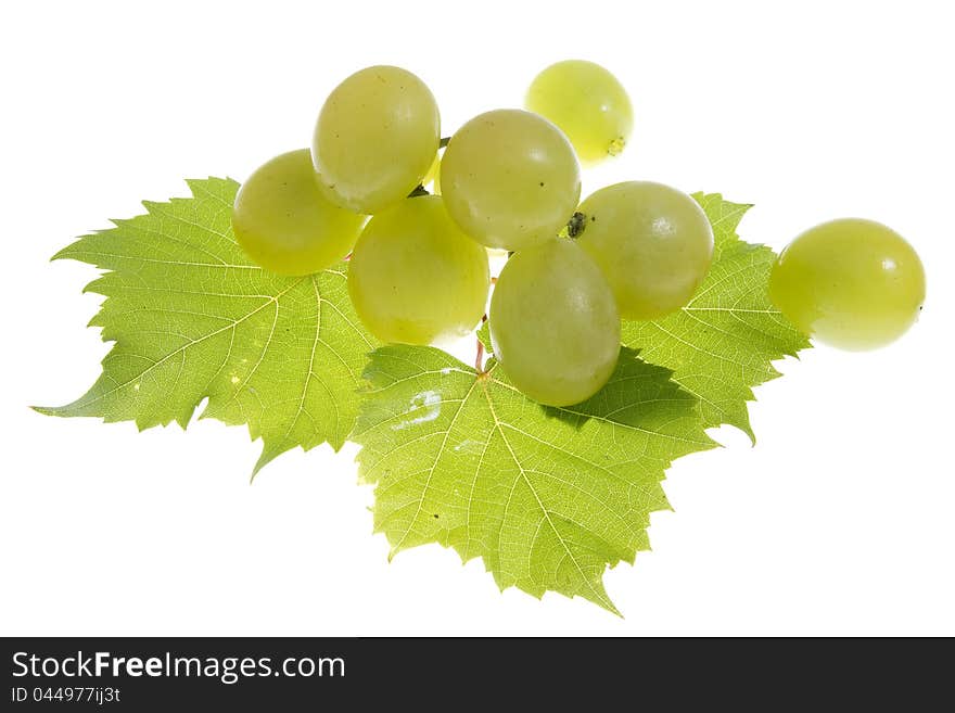 Grapes isolated on a white .