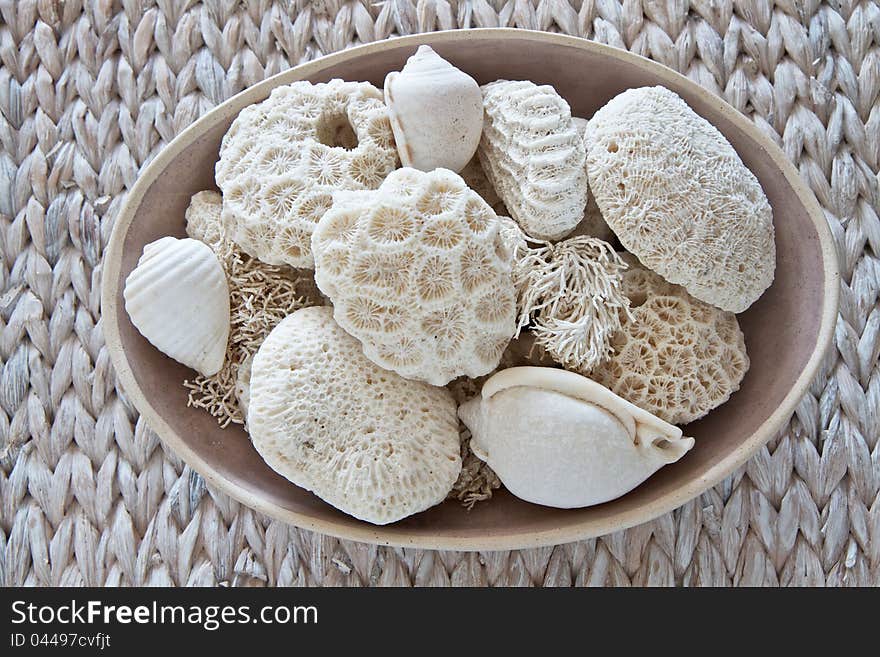 Coral, shells and seaweed in a bowl