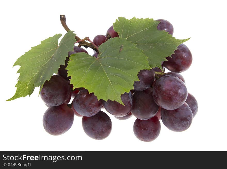 Grape with leaves isolated on white. Grape with leaves isolated on white