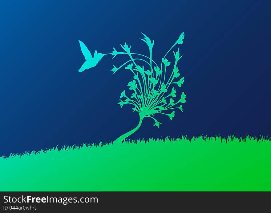 Vector illustration of the scenery with hummingbird.