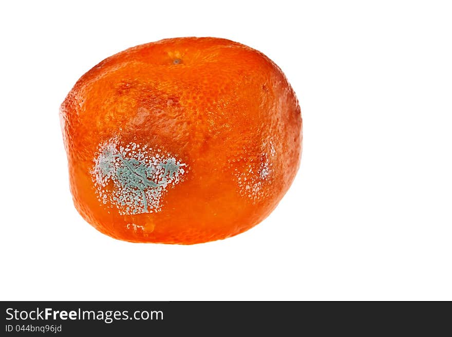 Rotten mandarin closeup view.