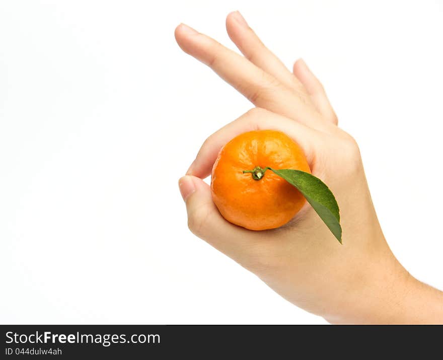 Orange on hand in white background