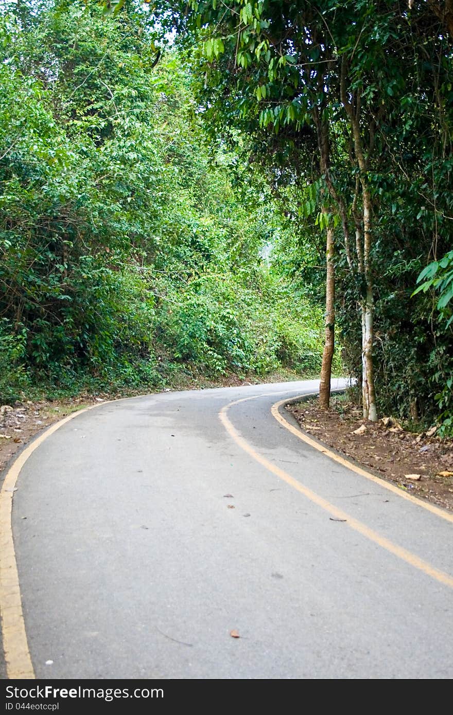 Curve Street in nature of thailand. Curve Street in nature of thailand