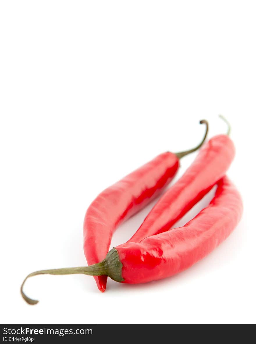 Three hot red chili peppers  on a white background