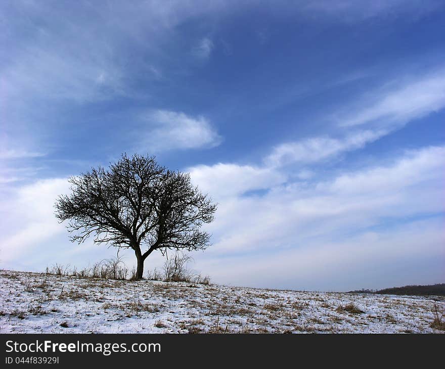 Winter Breath