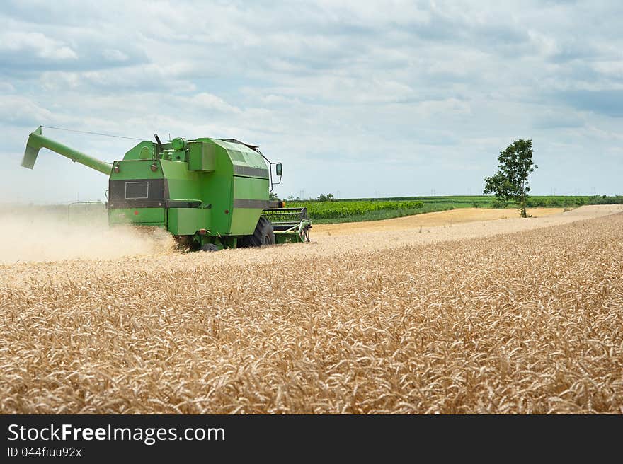 A combine harvester working in a wheat field