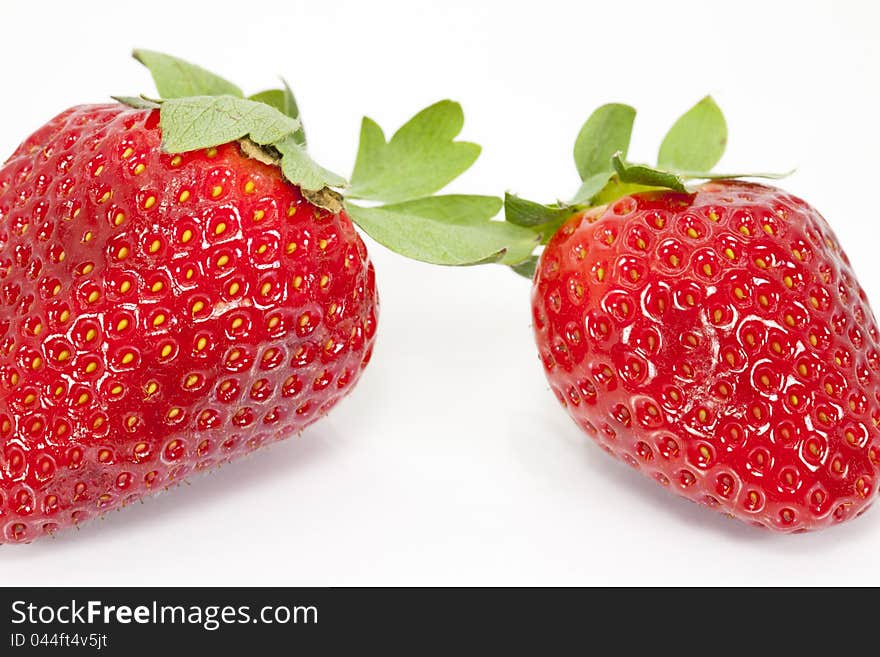 Close up of a strawberry with white background