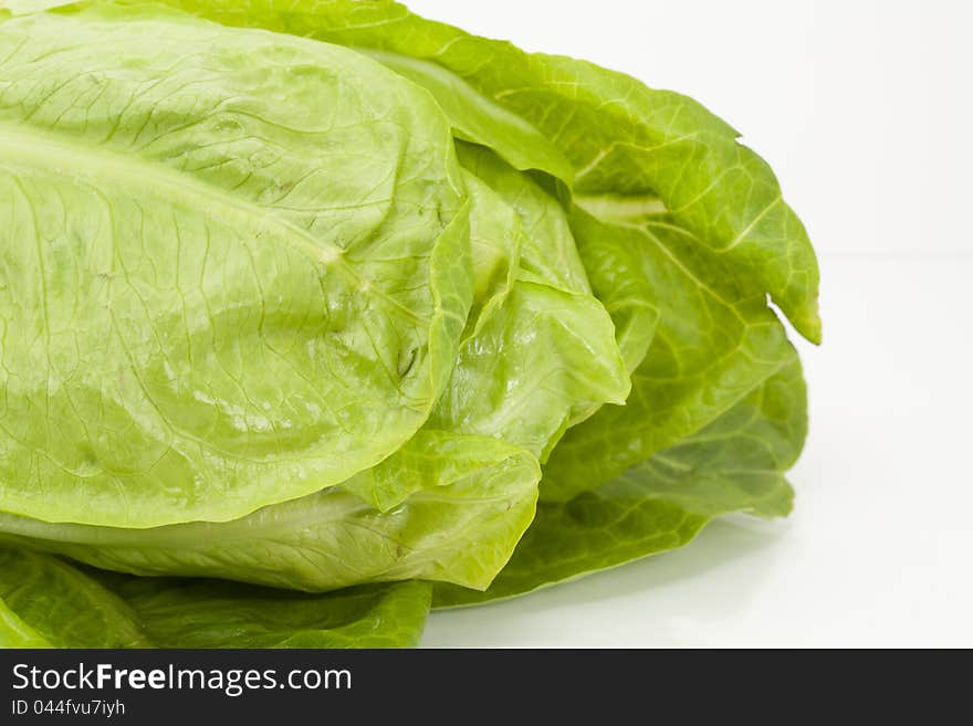 Lettuce