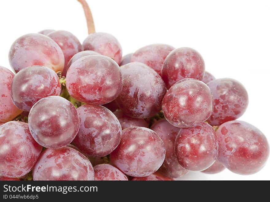 Closeup of black grapes with white background