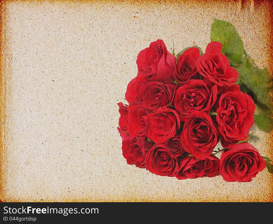 Vintage rose on grunge paper background