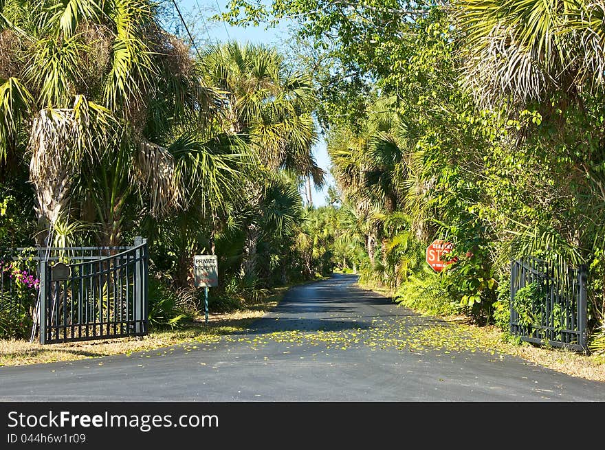 Entrance to a private road surrounded by palm trees and looking very tropical. Entrance to a private road surrounded by palm trees and looking very tropical.