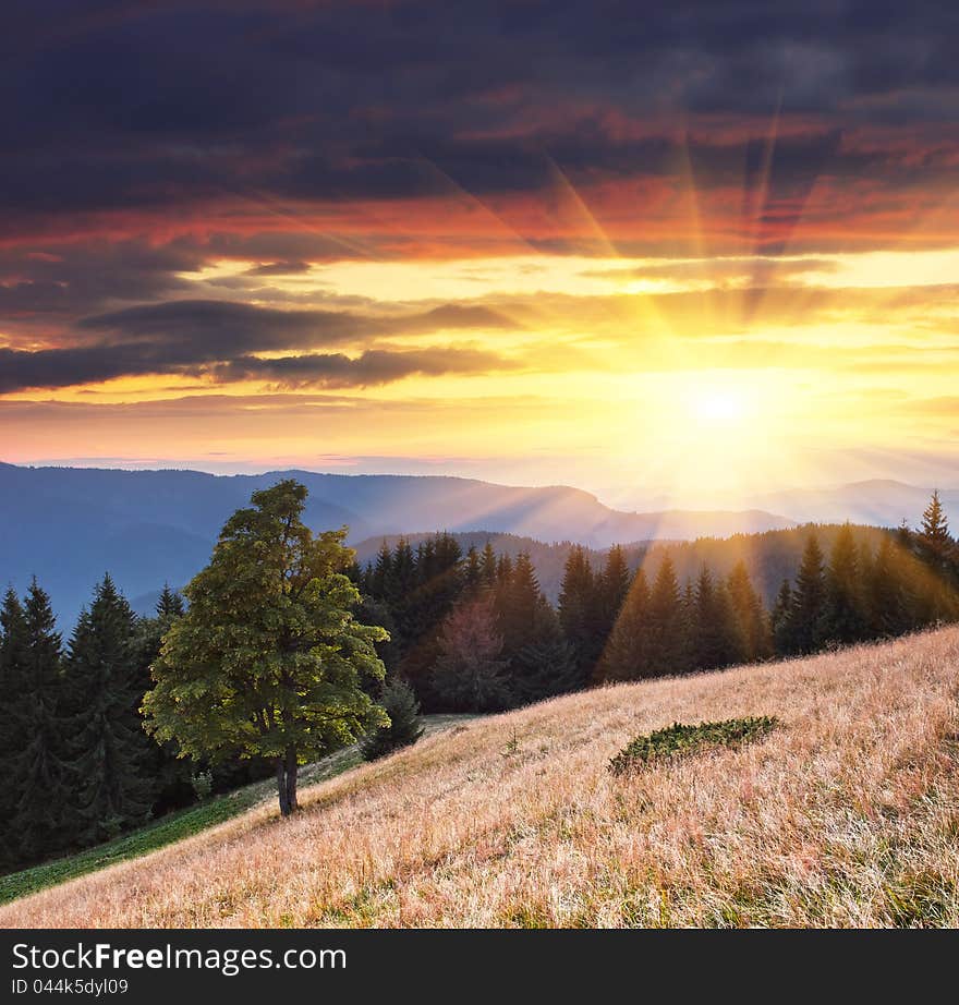 Landscape in the mountains with a sunset. Ukraine, the Carpathian mountains. Landscape in the mountains with a sunset. Ukraine, the Carpathian mountains