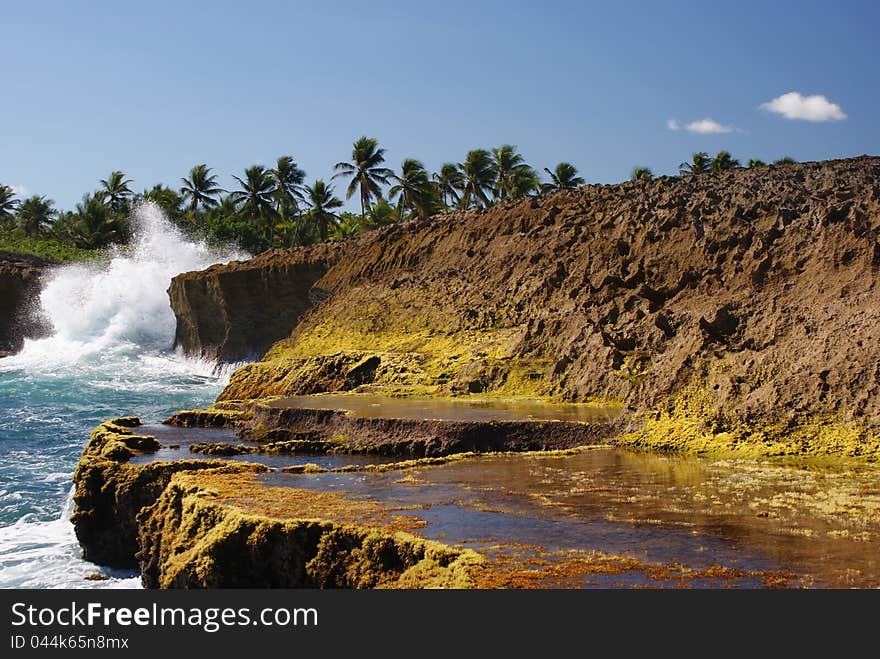 Waves and moss on lava rock. Waves and moss on lava rock