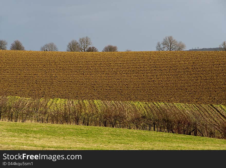 Plowed field in winter