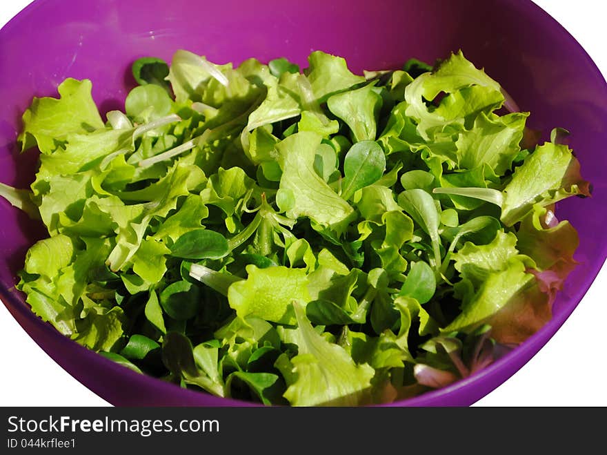 Fresh Green Salad