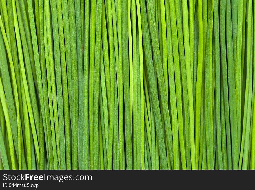 Fresh Green Chives