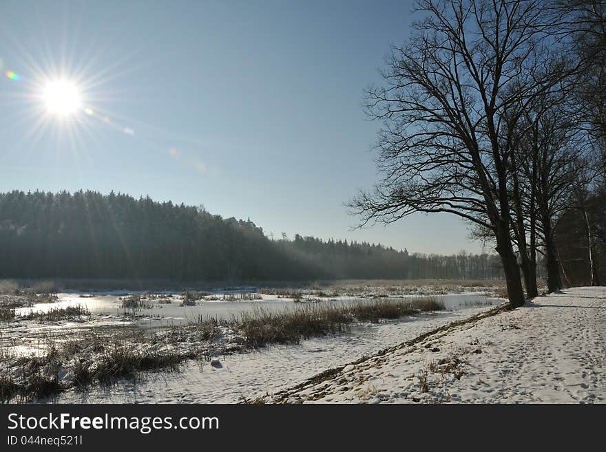 Frosty winter day at the old pond. Frosty winter day at the old pond