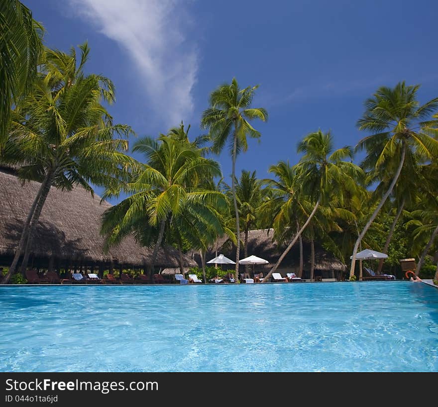 Swimming pool in Maledives