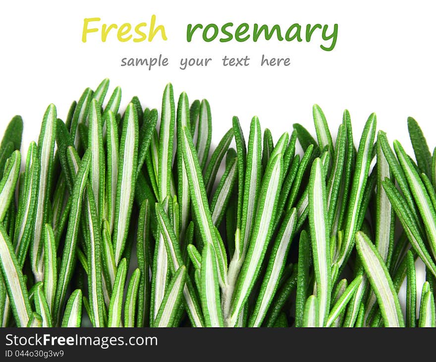 Fresh rosemary