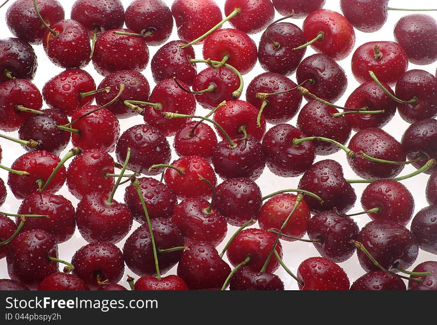 Group of wet cherries on white background. Group of wet cherries on white background