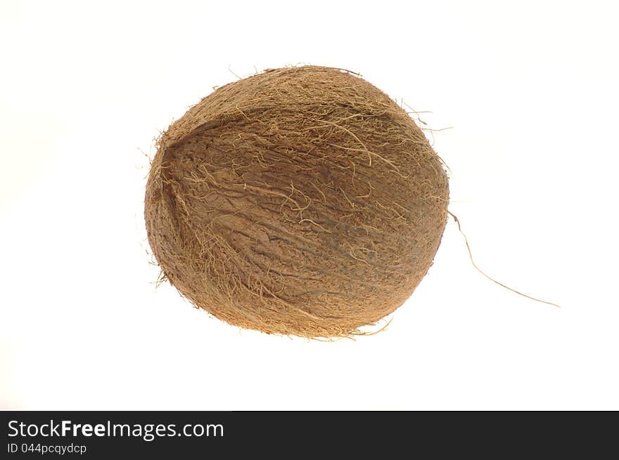 The coconut on white background. The coconut on white background