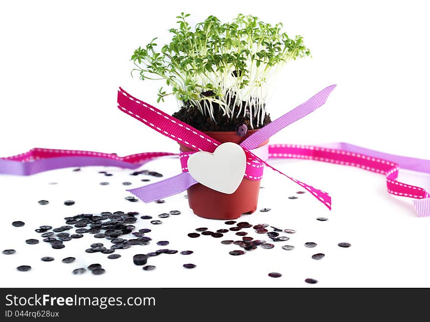 Pot with cress, ribbons, heart and sparkles - table decor. Pot with cress, ribbons, heart and sparkles - table decor