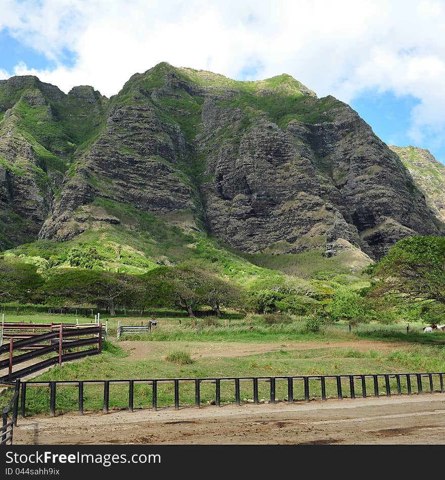 Movie scenes from kahana valley